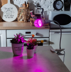 Фитолампа светодиодная - Фото 3