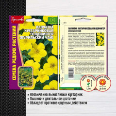 Лапчатка кустарниковая «Голдфингер» - Фото 1
