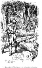 Зверобой. Последний из могикан. Следопыт. Пионеры. Прерия - Фото 1