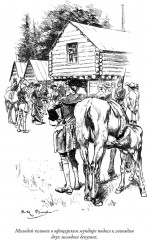 Зверобой. Последний из могикан. Следопыт. Пионеры. Прерия - Фото 9