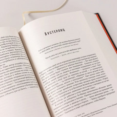 Наполеон: биография - Фото 8