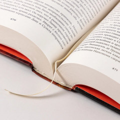 Наполеон: биография - Фото 12