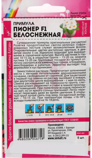 Примула «Пионер F1 белоснежная»