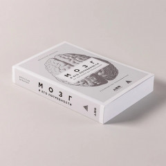 Мозг и его потребности. От питания до признания - Фото 2