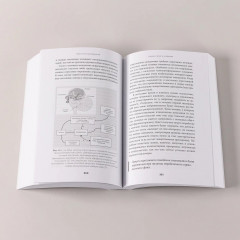 Мозг и его потребности. От питания до признания - Фото 5