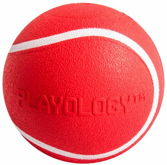 Игрушка для собак «Squeaky chew ball»