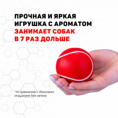 Игрушка для собак с ароматом говядины, пищалкой «Squeaky chew ball» - Фото 5