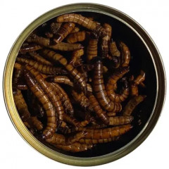 Корм для животных «Зофобас» - Фото 2