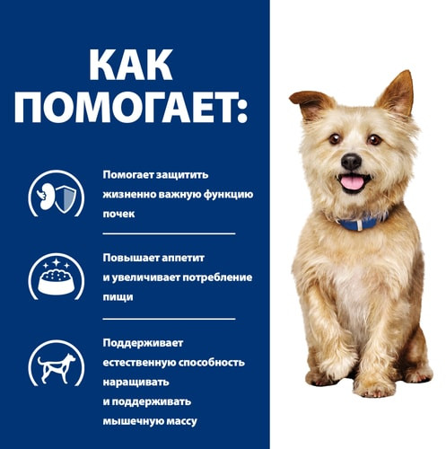 Корм для собак при хронической болезни почек