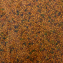 Сидерат «Горчица» - Фото 1