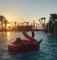 Круг надувной «Pink Flamingo» - Фото 10