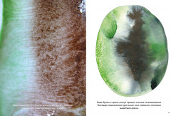 Цвет. Материалы, техники, сочетания - Фото 2