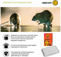 Ловушка-лоток от грызунов клеевой «Грызунофф» - Фото 1