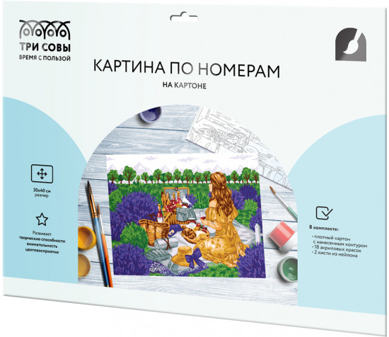 Картина по номерам «Пикник»