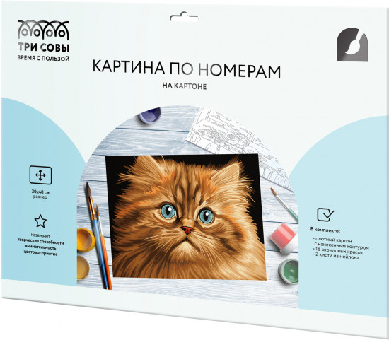 Картина по номерам «Пушистый котенок»