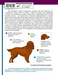 Определитель собак. Физические характеристики и особеннности породы - Фото 1