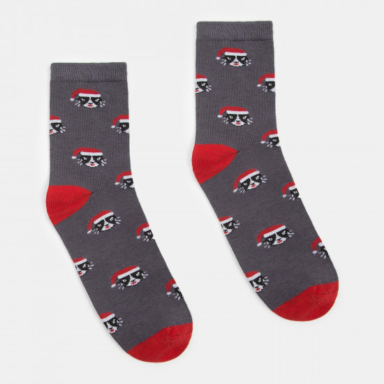 Носки мужские «Коты»