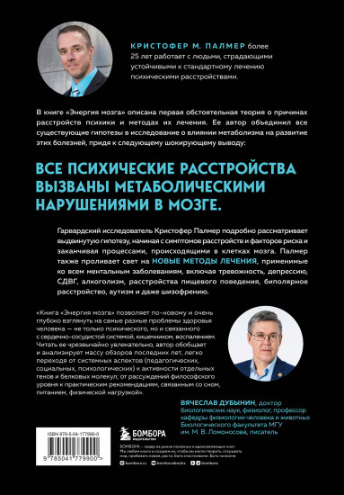 Энергия мозга. Теория развития