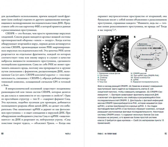 Редактируя человечество. Революция CRISPR