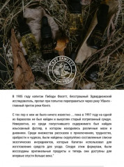 Тоник для ухода за волосами - Фото 3