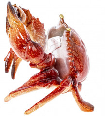 Подставка для бутылки «Краб» - Фото 6