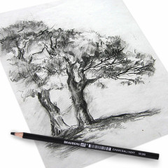 Карандаш угольный, мягкий - Фото 7