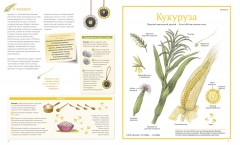 Сокровища Земли - Фото 1