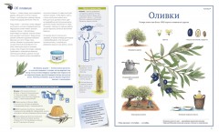 Сокровища Земли - Фото 2