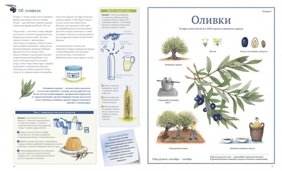 Сокровища Земли