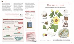 Сокровища Земли - Фото 3