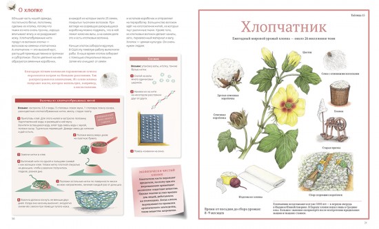 Сокровища Земли
