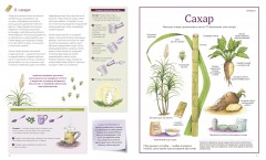 Сокровища Земли - Фото 4