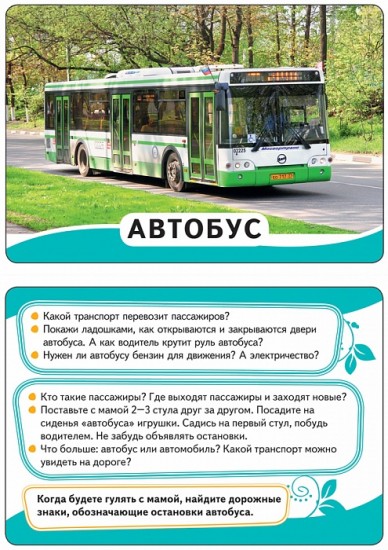 Мир вокруг