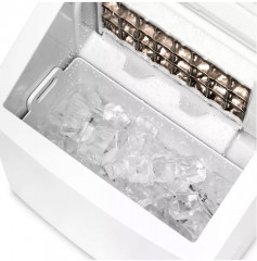 Льдогенератор - Фото 1