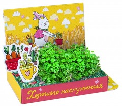 Набор для выращивания «Хорошего настроения» - Фото 2