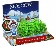 Набор для выращивания «Москва» - Фото 2