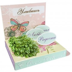 Набор для выращивания «С Днём рождения!» - Фото 1