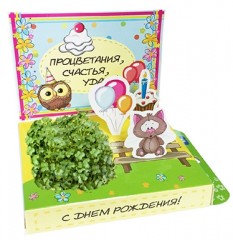 Набор для выращивания «С Днём рождения!» - Фото 1