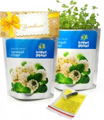 Набор для выращивания «Клевер» - Фото 2