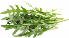 Набор для выращивания «Рукола рокет» - Фото 2