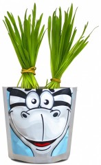 Набор для выращивания «Зебра» - Фото 1