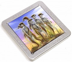 Магнитный 3D-пазл «Сурикаты» - Фото 1