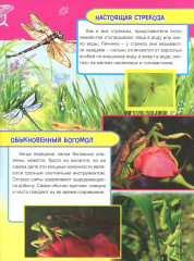 Насекомые и рыбы Европы - Фото 1