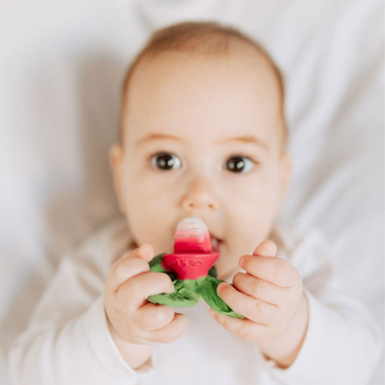 Прорезыватель «Ramonita the Radish»
