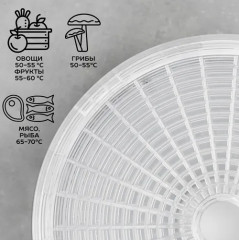 Сушилка для овощей и фруктов - Фото 2