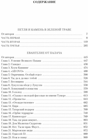 Петля и камень в зелёной траве