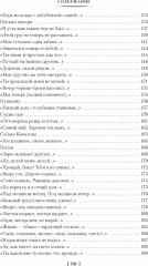 Мне осталась одна забава... Стихотворения, поэмы, проза. Полное собрание сочинений - Фото 4