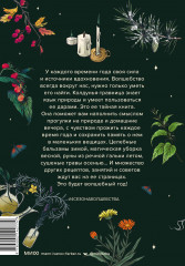 4 сезона волшебства. Тайные послания и рецепты, нашептанные лесом - Фото 1