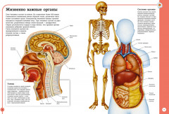 Первый атлас анатомии человека - Фото 1