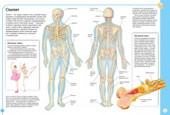Первый атлас анатомии человека - Фото 2